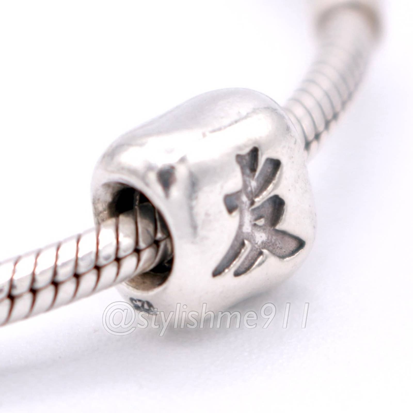 Authentic PANDORA Chinese Friendship Charm - 790195